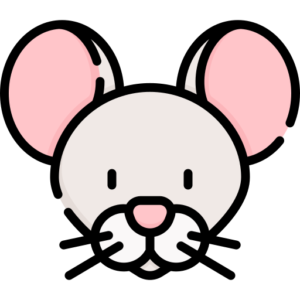 Mouse Icon