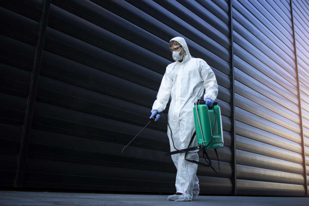 Same day pest control